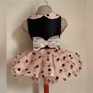 Dog dress MINIE MOUSE
